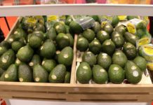 Las exportaciones alimentarias de México resisten con entereza a la pandemia Exportaciones alimentarias de México.