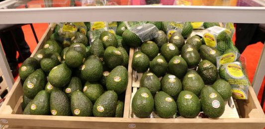 Exportaciones alimentarias de México.
