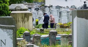 Las muertes diarias por COVID-19 bajan