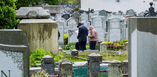 Las muertes diarias por COVID-19 bajan
