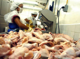 plantas procesadoras de carne