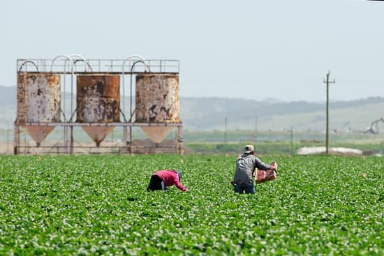 trabajadores rurales.