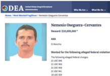 Nemesio Oseguera Cervantes