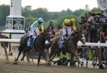 Casi un millón de dólares en apuestas a carreras de caballo en dos días en Puerto Rico carrera de caballos