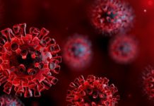 Coronavirus: nuestro peor es enemigo es… coronavirus