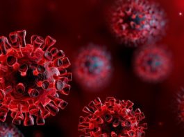 coronavirus