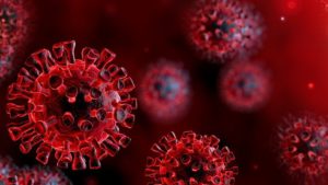 coronavirus