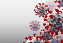 Nuevas investigaciones confirman tasas más altas del Coronavirus en poblaciones latinas