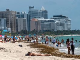 Florida va de récord en récord en casos nuevos de COVID-19 Florida