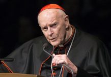 El excardenal McCarrick es acusado de pederastia en nueva demanda en EE.UU. Theodore McCarrick.