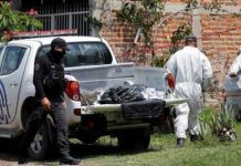Fiscalía de Jalisco halla 23 cuerpos en fosa en el occidente de México.