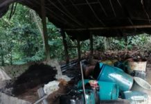 Honduras localiza cultivos de hoja de coca y laboratorio para procesar drogas Honduras localiza cultivos de hoja de coca y laboratorio para procesar drogas.