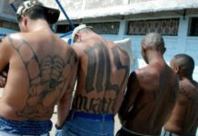 Mara Salvatrucha en Nueva York.