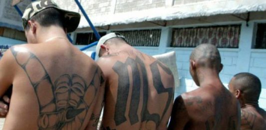 Mara Salvatrucha en Nueva York.