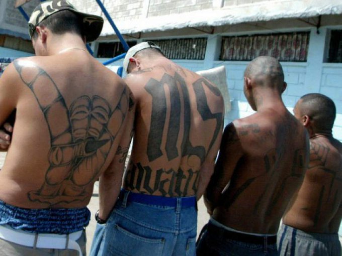 Mara Salvatrucha en Nueva York.