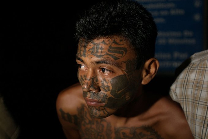 Mara Salvatrucha.