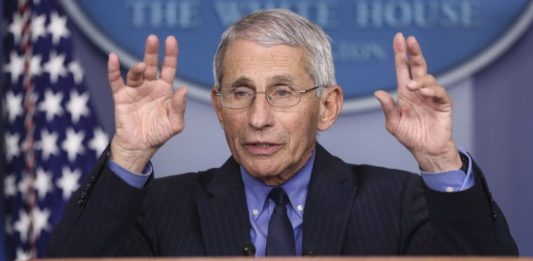 doctor Fauci