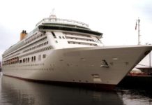 Norwegian y Royal Caribbean crean panel de COVID-19