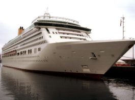 Norwegian y Royal Caribbean crean panel de COVID-19