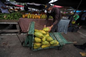 actividad &eacute;conomica