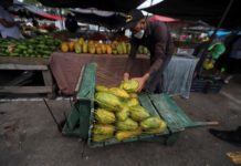 La pandemia amenaza con provocar hambre a más de 80 millones de personas actividad économica