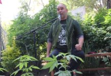 Activistas exigen al Senado mexicano cumplir con legislación del cannabis marihuana