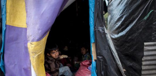 niños
