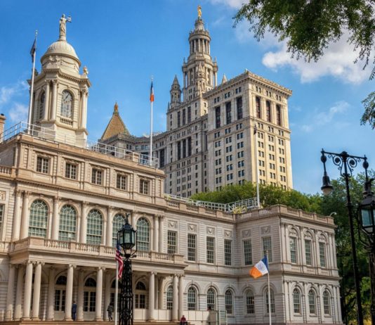 Candidatos demócratas para la alcaldía de Nueva York ALCALDIA DE NUEVA YORK