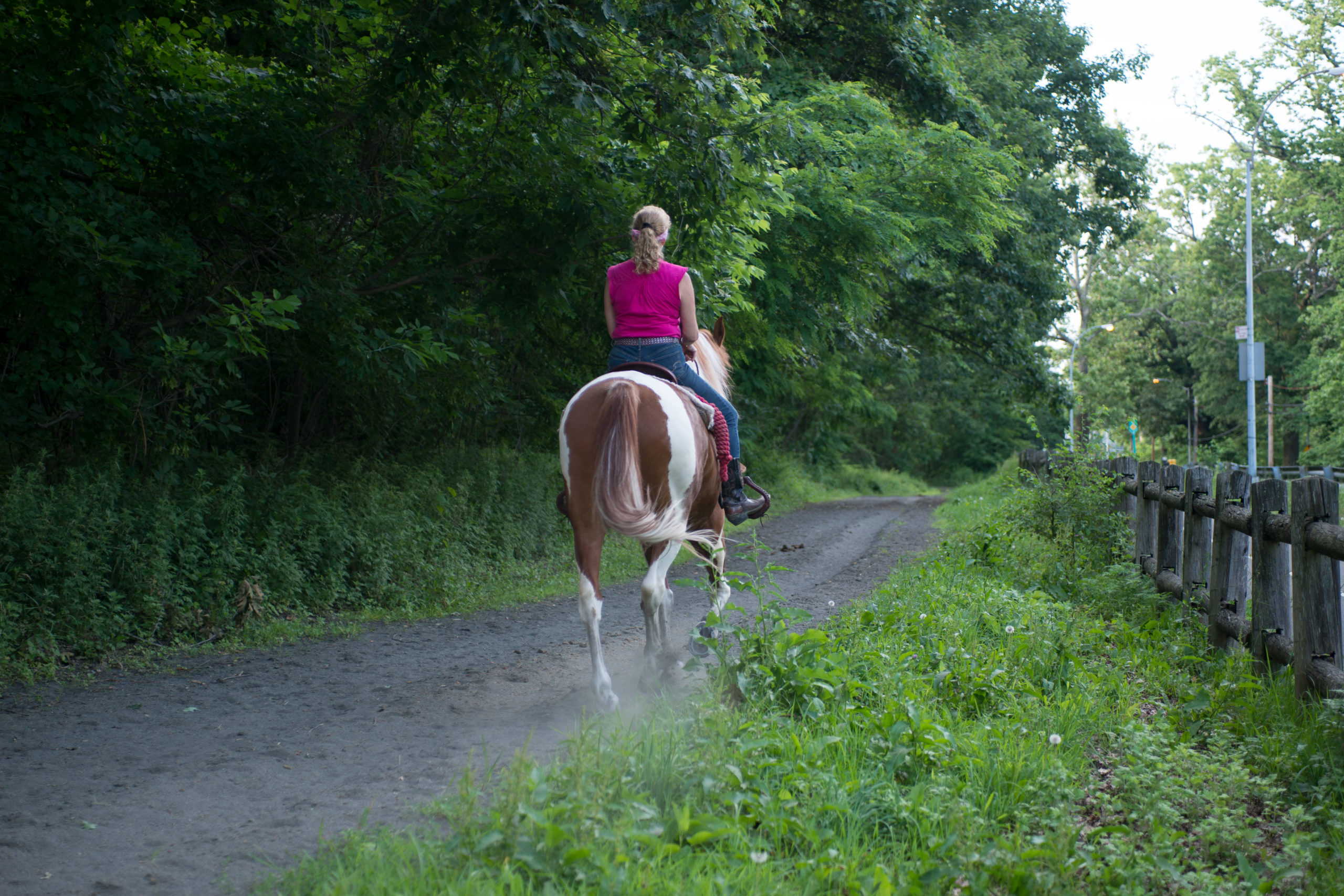 Bronx Equestrian Center.