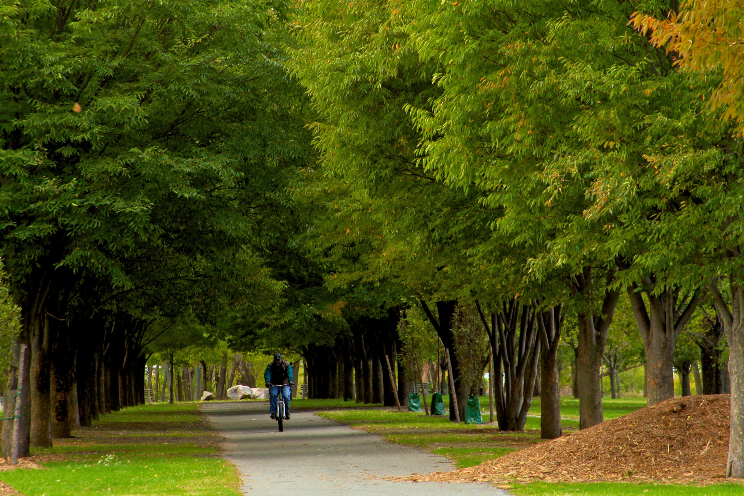 Bronx River Greenway.