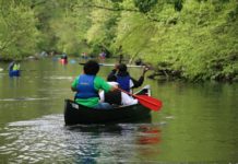 Guía de turismo local en la Ciudad de Nueva York para este fin de semana Bronx River Greenway.