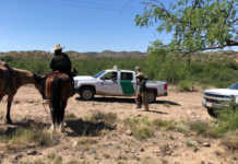 Patrulla fronteriza del Sector Tucson.