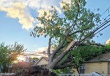 Quejas a Con Edison por la falta de restablecimiento de energía eléctrica en Queens HURACAN ISAIAS