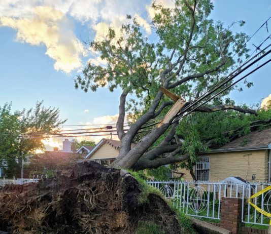 Quejas a Con Edison por la falta de restablecimiento de energía eléctrica en Queens HURACAN ISAIAS