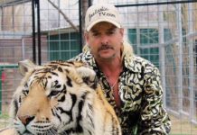 El zoo de "Tiger King" cierra permanentemente al perder su licencia Joe Exotic.