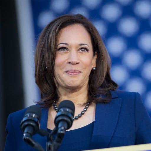 Joe Biden anunci&oacute; que ha elegido a la senadora de California Kamala Harris como su compa&ntilde;era de f&oacute;rmula de cara a las elecciones presidenciales.