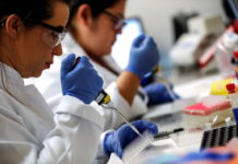 México podría producir vacuna de coronavirus desde primer trimestre de 2021 vacuna