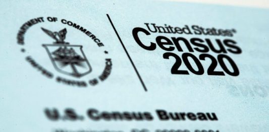 censo 2020.