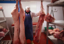 procesadora de carne