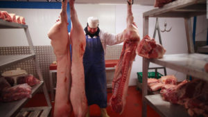 procesadora de carne