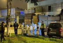 Trece muertos y 6 heridos por avalancha humana en fiesta clandestina en Perú fiesta en Perú termina en tragedia