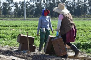 trabajadores