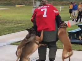 Navy SEAL rechaza uso de Kaepernick como blanco de perros de guerra uso de Kaepernick