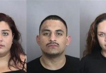 Arrestan a 3 por muerte de un hispano que intentó detener robo de su vehículo