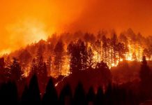 incendios.