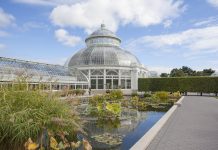 Celebra la Semana del Clima en Nueva York con un giro ecológico New York Botanical Garden, Fordham, Bronx.
