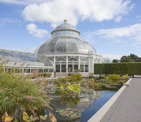 Celebra la Semana del Clima en Nueva York con un giro ecológico New York Botanical Garden, Fordham, Bronx.
