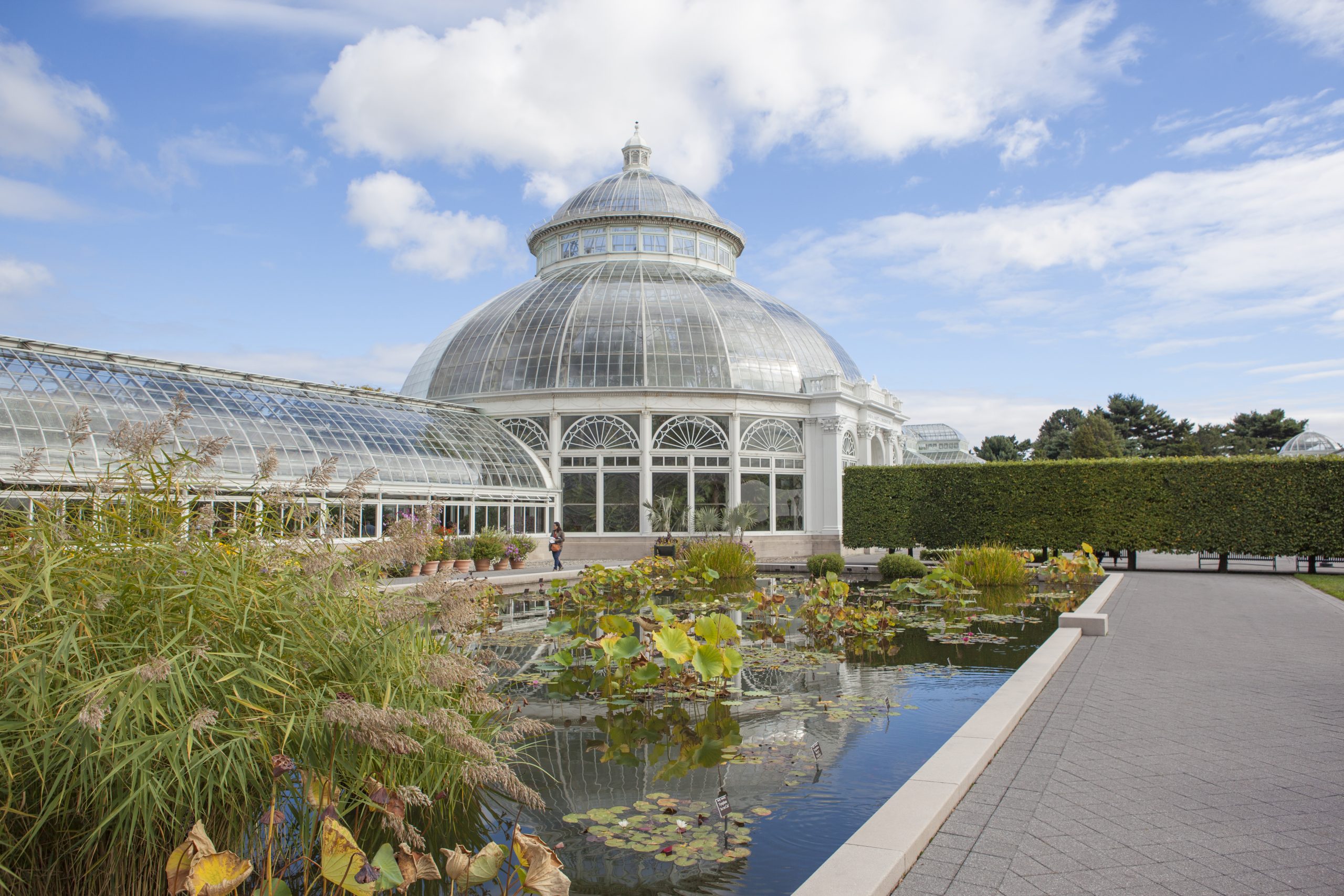 New York Botanical Garden, Fordham, Bronx.