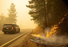 Quince muertos y cientos de miles de evacuados por fuegos en el oeste de EE.UU. fuegos