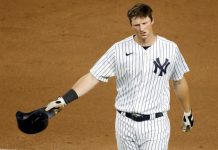Los Yanqis avasallan por 13-2 a los Azulejos los Yanquis
